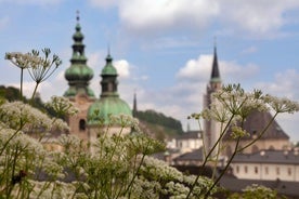 Salzburg Scavenger Hunt and Highlights Self-Guided Tour