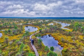 De Riga: Le meilleur du parc national de Kemeri en une journée