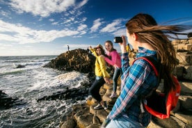 From Dublin: Giant's Causeway, Dark Hedge & Belfast Tour