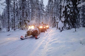 Kemi-Tornio: Snowmobile Forest Safari w/ Hot Drink & Snacks