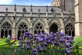 Tour privado: seu próprio Utrecht - mistérios e tesouros