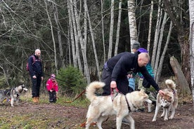 Riga: Husky Hike í Náttúruferð