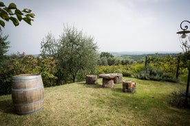 Vinturoplevelse på Agricola Tamburini