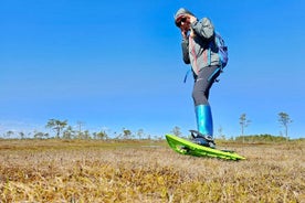 Aventura en los pantanos de Ķemeri: explora los humedales con zapatos de pantano