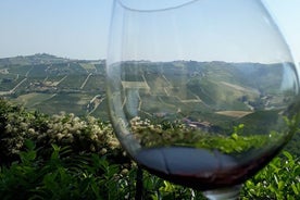 ทัวร์ชิมไวน์ Barolo Langhe