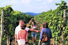 Da Venezia: Wine Tour sui Colli Euganei