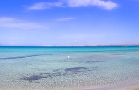 Photo of  view at the bay and port in Pizzo, Calabria, Italy.