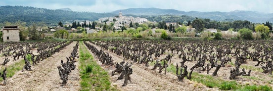 L'angélus, gîte de charme au coeur du vieux village de Sablet