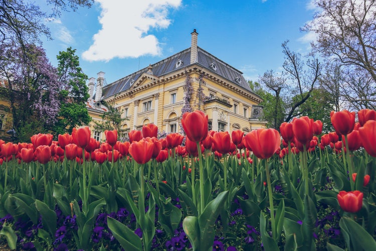 National Art Gallery (former Royal Palace) in Sofia, Bulgaria, with tulips in bloom during spring in May.jpg