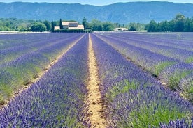 Dagstur i lavendelmarker og landsbyer i Gorges du Verdon