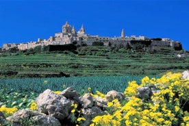 Mdina, Rabat, Dingli klettar, San Anton garðar, Ta' Qali og Mosta leiðsögn