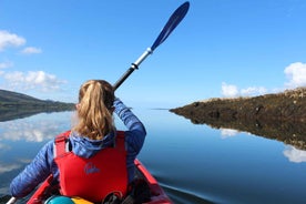 Kenmare Bay: Guided Kayaking Tour - No Wetsuits Required.