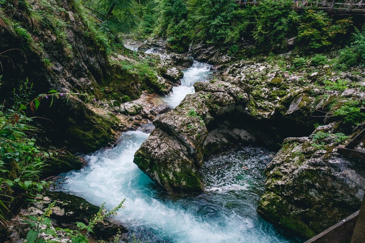 Photo of The torrent of the gorges of Vintgar, Slovenia.