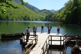 プライベートツアー - NP Biogradska Gora、モラカ渓谷、修道院