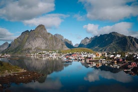 From Svolvær: Best of Lofoten Tour in 1 day