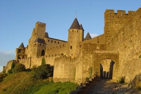 Carcassonne Half DayTour from Toulouse