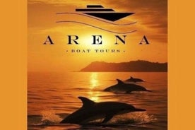 Pula:FANTASTIC DOLPHIN SUNSET TOUR,DINNER & DRINKS( BRIJUNI)