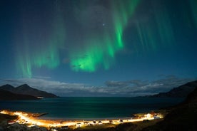 Tromsø: Fjords Tour with campfire and photos