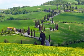 Pienza, Montalcino, Vinho Brunello e Queijo Pecorino TOUR PRIVADO de FLORENÇA