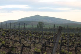 Viaggio privato - Strada del vino - Cibo, bevande e natura e ritorno a Zara