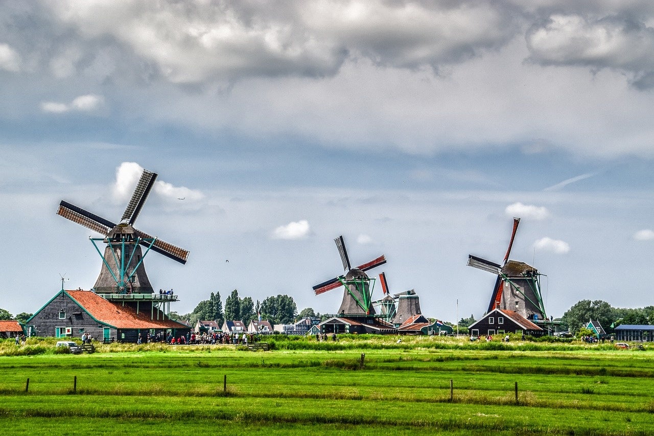 netherlands-in-july-5.jpg