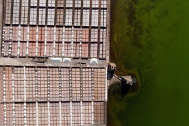 Einkaferð og leiðsögn til Salinas de Janubio með smakk