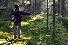 Wandelervaring in een Nationaal Park met Backpacker Helsinki Tour