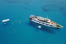 Odyssee-bootsafari van een halve dag met lunch op Cyprus