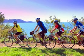 Excursión en bicicleta: excursión en tierra desde Koper