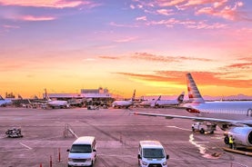 키예프 국제 공항 줄리아니 (IEV) 행 개인 출발편 환승