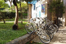 Alquiler de Bicicletas en Kotor