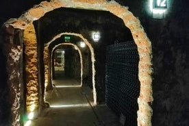 Bedste smag af Bairrada Winery Route, halv dag fra Coimbra