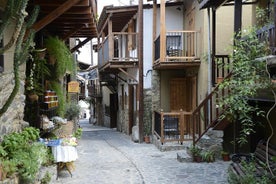 Visite privée dans la vieille ville de Nicosie et les villages de montagne