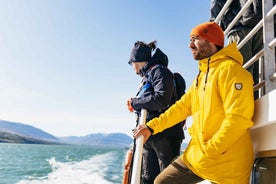 Akureyri: 3-Hour Classic Whale Watching Tour by Ship