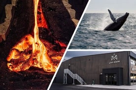 Reykjavik Whale Watching e spettacolo di lava