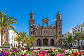 Heils dags einkastrandferð í Las Palmas frá Gran Canaria höfn