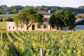 Saint Emilion Halvdagstur med vinprovning och vingårdsbesök från Bordeaux