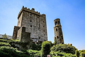 Shore Excursion from Cobh (Cork) to Blarney Castle and Kinsale 