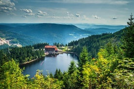  Sort skov. Fra Baden-Baden til Strasbourg. To lande på én dag