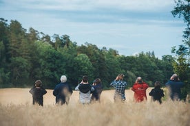 Abend Wildlife Safari Stockholm