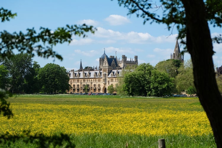 Christ Church Meadow.jpg
