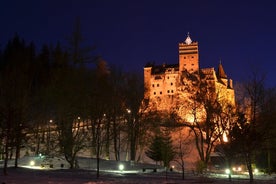 Peles Castle, Dracula Castle 및 Brasov 구시 가지 - 부쿠레슈티에서 개인 투어