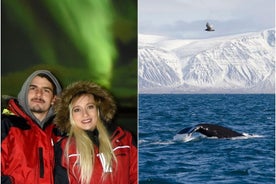 Observação de baleias no inverno e cruzeiro pela aurora boreal | Combo de Reykjavik