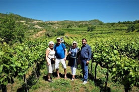 Tour de degustación en la bodega Alpeta - Roshnik village by 1001 Albanian Adventures