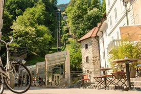 Ljubljana: Insta-Perfect Walk with a Local