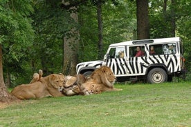 Private Return Transfer Thoiry Zoo Safari from Paris