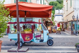 Excursão privada de dia inteiro em Ischia com degustação de comida e vinhos locais e retirada do hotel