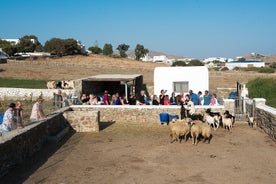 Indgangsbillet til Mykonian Farm