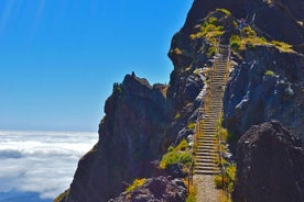 Madeira Berggipfel – Bergspaziergang