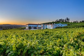 Opastettu kierros Bodegas Granbazánissa